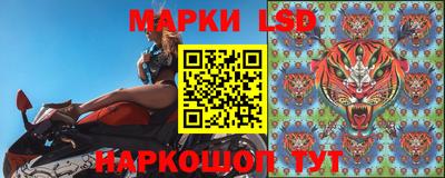 твердый Будённовск