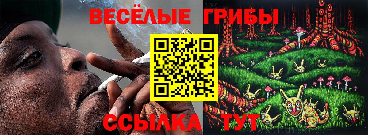 Москва  Псилоцибиновые грибы прущие грибы  Вход с VPN 